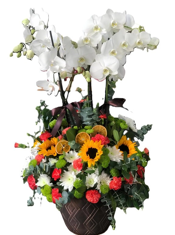 Çift Dallı Beyaz Orkide Aranjmanı